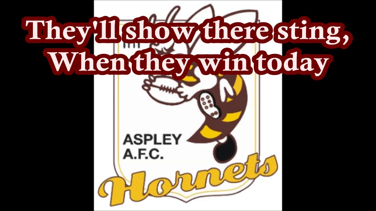 Aspley Hornets theme song (Lyrics) - NEAFL Version