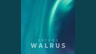 Walrus