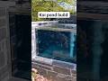 koi pond build with window #koi #pondbuild #fibreglass #window