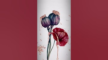 Digital realistic metallic watercolor poppies in Procreate App