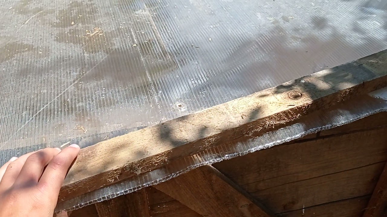 O sa fac alt spatiu pentru iepuri și alta cușcă cu 3 boxe 07.06.2021