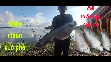 Săn thác lác cườm tự nhiên tập 3