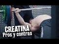 ¿Para qué SIRVE la CREATINA? BENEFICIOS ✔️ y RIESGOS ❌