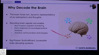 Representations in Deep Learning and the Brain
