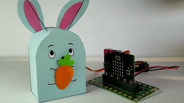 Rabbot - Bit Board & micro:bit
