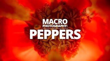 Bell Pepper Macro Photography Tutorial - Cavernous Capsicum!
