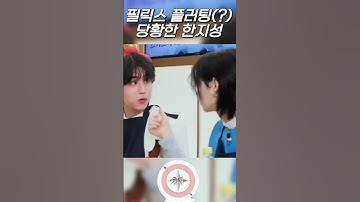 (한, 필릭스) 필릭스 플러팅에 당황한 한🐥🐿 스트레이키즈 한, 필릭스 #한 #필릭스 #한지성 #이필릭스용복 #스트레이키즈한