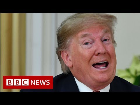 Trump blasts Macron 'brain dead' comments as 'nasty'
 - BBC News