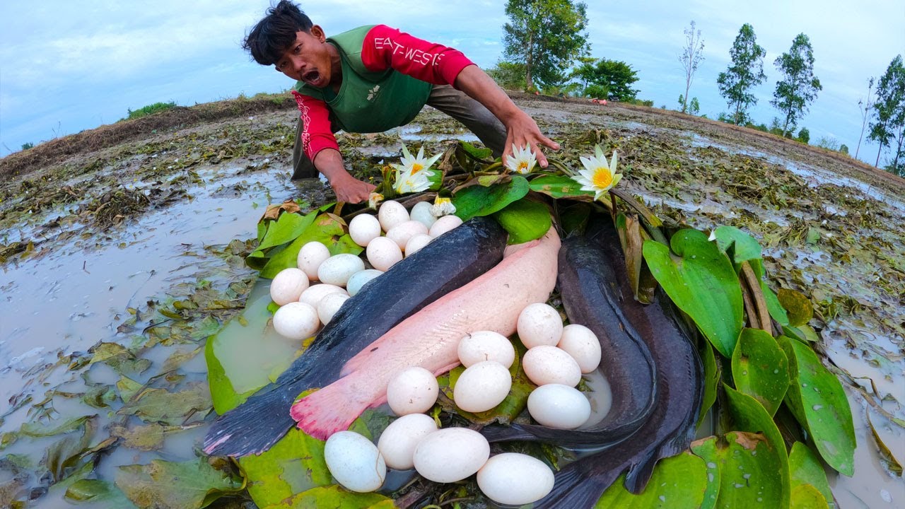 technique fishing, best hand fishing, a smart man catching fish and ...