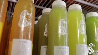 ( INTERLINE FILMS ) ROOTED 956 JUICE AD