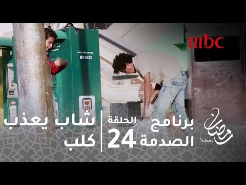 فيديو: الصدمة بسبب العدوى البكتيرية في الكلاب