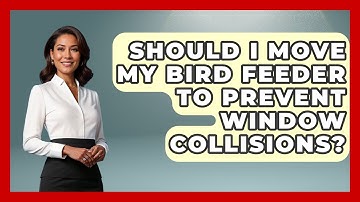 Should I Move My Bird Feeder To Prevent Window Collisions? - Bird Watching Diaries