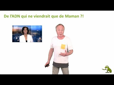 Vidéo: Qu'est-ce qui rend possible la réplication exacte de l'ADN ?