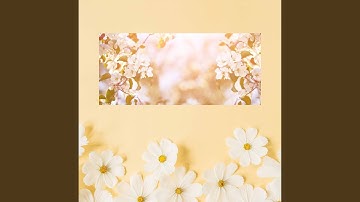 Playful Backdrops for Yesterdays Messages