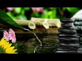 Healing Soothing Leaf Spa Water Fountain Sounds and Calm Piano relaxing Music for Spa, Zen