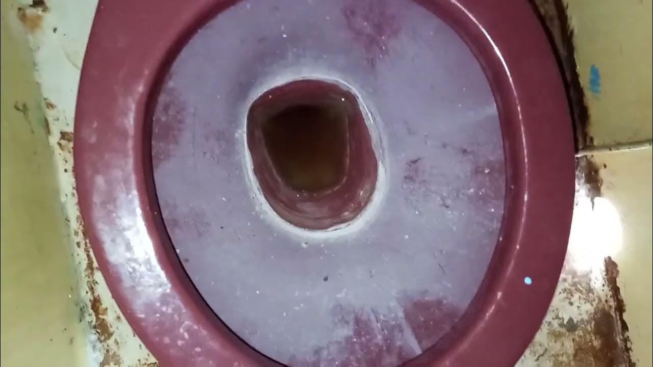 Maroon 20?? Cato Jazmín Toilet (not working) YouTube