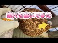 コーキング剤で巣穴を埋めて安全に蜂の巣駆除をしています。