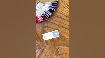 Ink Swatch: Van Dieman’s Dusk from Blesket #shorts #ink #fountainpen #fountainpenink #smallyoutuber