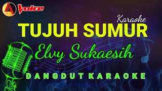 Tujuh Sumur Karaoke | Elvy Sukaesih #tujuhsumur #elvysukaesih #karaoke