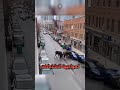 حتى الدببة كتخاف من وحش الغابة الحقيقي شوف علاش الموظ أخطر مما كيبان