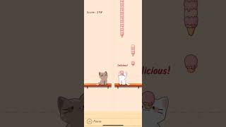 Duet Cats - Counting Stars