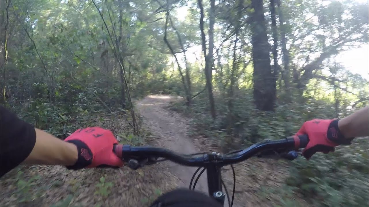 Florida Flow Mount Dora Mountain Bike Park YouTube
