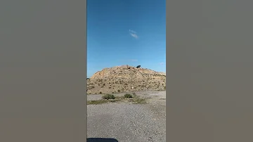 و ما من دابة في الأرض ولا طائر يطير بجناحيه إلا أمم أمثالكم 