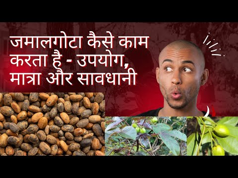 How Jamalgota Works Dosage And Side Effects Jamalgota Uses Precaution Side Effect In Hindi