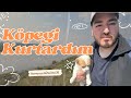 Romanya’da Göl Kenarında Terkedilmiş Bir Yavru Köpek Buldum… 😢