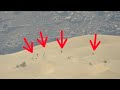 فيديو لأبطال الجيش والمقاومة أثناء صد زحوفات المليشيات الحوثية الإرهابية المدعومة من إيران جنوب مأرب