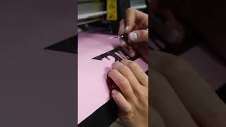 The Worlds No.1 Is Stahls Cad-Cut Sportsfilm Htv