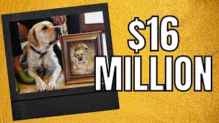AMAZING! 10 Most Expensive Animals in the World Video by Most Expensive Worldwide 113 views 1 year ago 9 minutes, 6 seconds