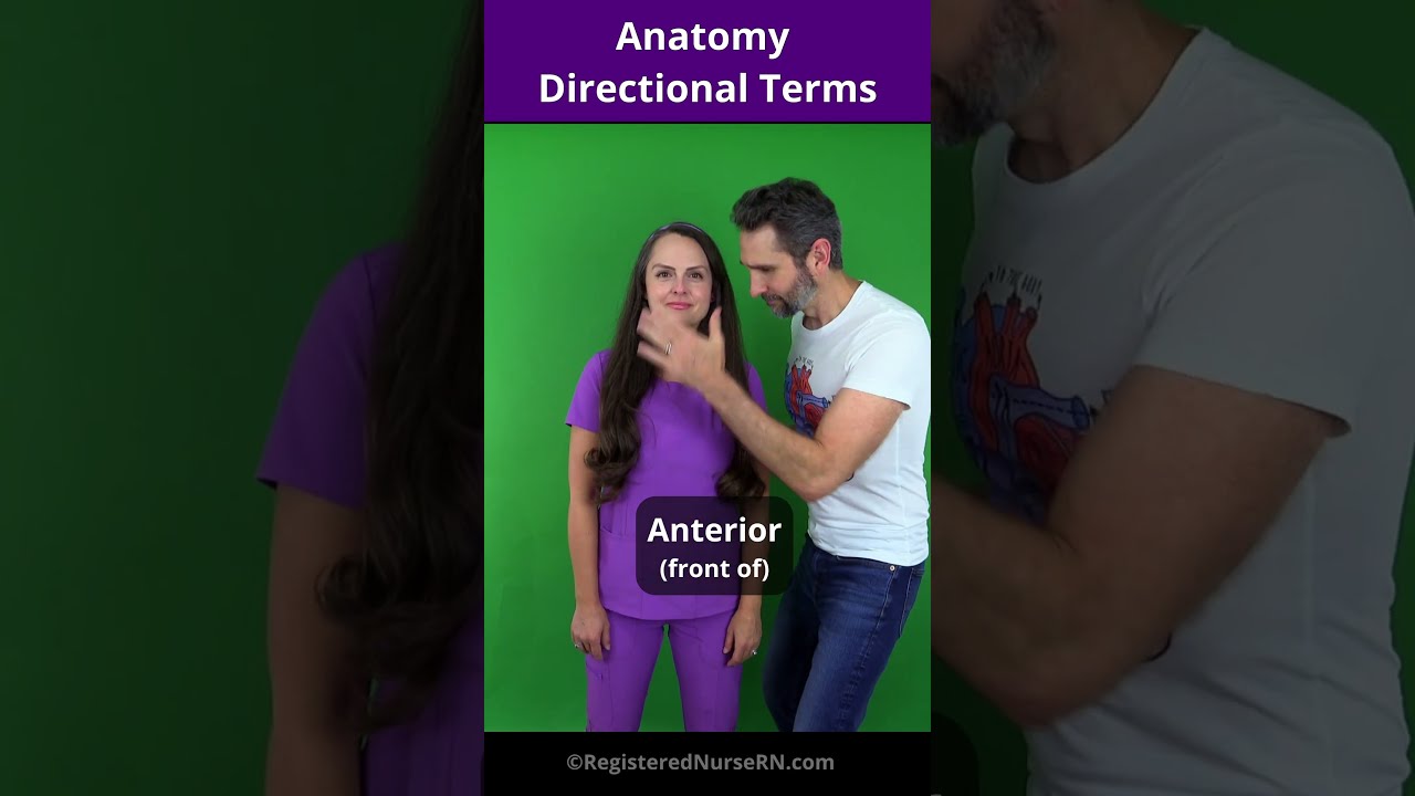 Anatomy Directional Terms in 25 Seconds #shorts