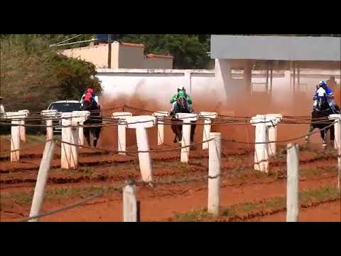 TV WEB Pontaporainforma: Grande final do 2º GP Haras Medina – Jockey Club Ponta Porã (06/09/2020)