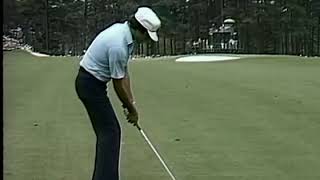 Seve iron 80