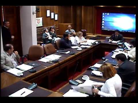 Reunión Ordinaria Nº12 del Concejo Municipal, del día Miércoles 17 de Abril del 2019. consejos sabios