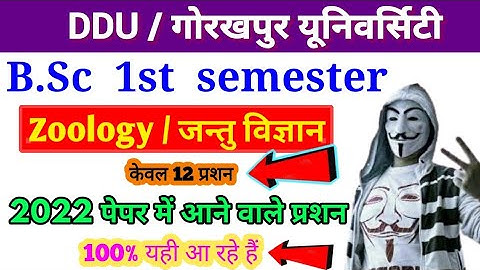 Bsc 1st Semester Zoology/ 2022 important question/ DDU / Paper hacker/ B.sc 1st Semester Zoology