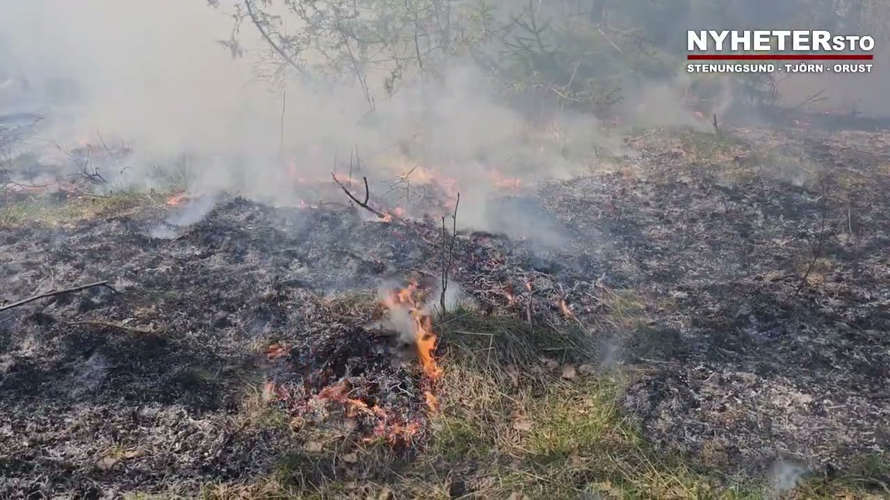 2023-04-19 Brand i terräng Orust