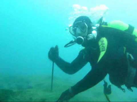 Blue water bridge Dive video