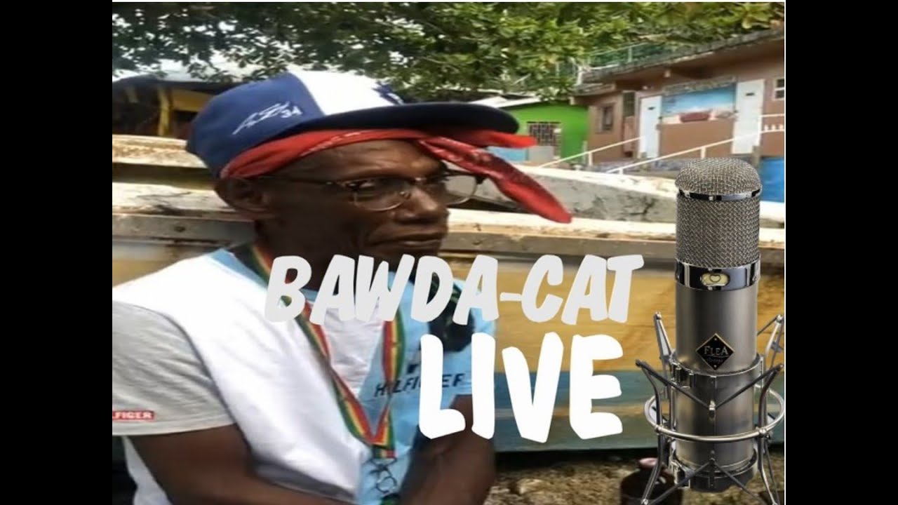 BAWDACAT ,TALKS HOW SOME FAMILY STAY REASONING. YouTube