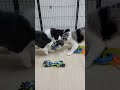 ご報告ライブ🎵