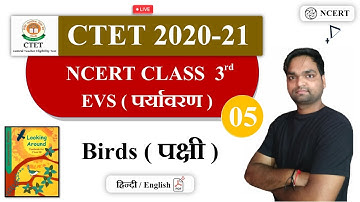 Target CTET 2020-21 | NCERT EVS ( Environment ) Class 3rd By DK Gupta | Birds ( Birds )