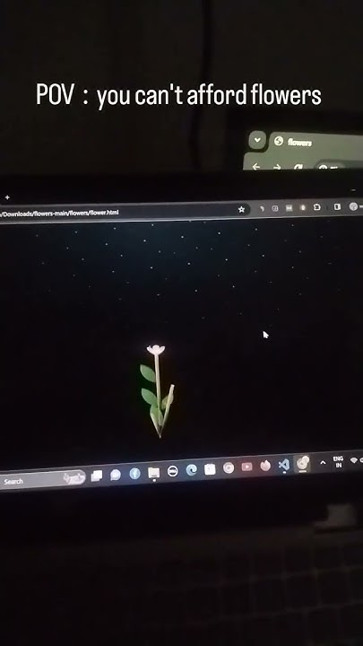 Blossoming Flowers at Magical Night Animation in Pure CSS - YouTube