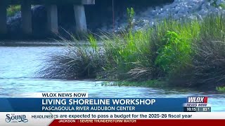 Living Shorelines Workshop helps landowners combat erosion, protect habitat