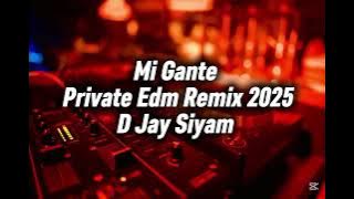 Mi Gante ( Private Edm Remix 2025 ) @Djaysiyam07 #https #remix #dancemusic #dancemusic #edmmusic 