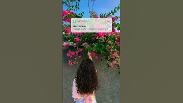 Things to do instead of scrolling 🌸💫 |Aesthmelo 🍉 #thingstodo #funthingstodo