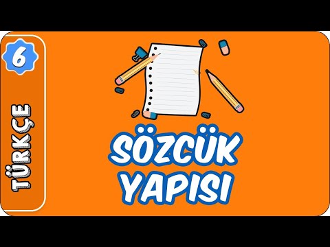 Sözcük Yapısı | 6. Sınıf Türkçe evokul Kampı