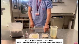 Agar phantom model for ultrasound guided cannulation.