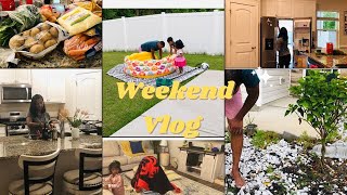 Weekend Vlog Of Indian Family In USA || Weekly Grocery Haul || Simple And Easy Veg Pulao Recipe