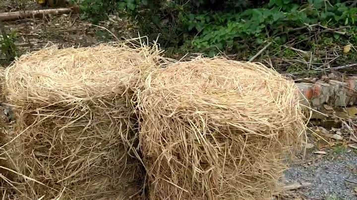 Cuộn rơm khô nặng bao nhiêu kí lô gram???